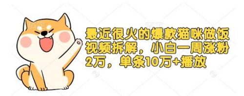 最近很火的爆款猫咪做饭视频拆解，小白一周涨粉2万，单条10万+播放(附保姆级教程)-有为创业网